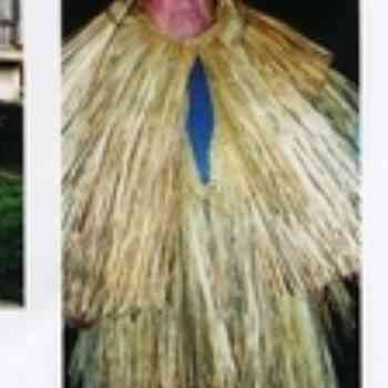 Click para ampliar. Pulsa en el nombre para ver la ficha. Cabanas con capa de xuncos